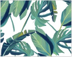 Poszterek 50x40 Monstera Levelek levél