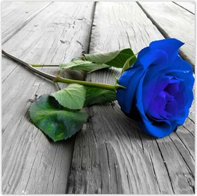 Poszterek 100x100 Kék rózsa a deszkákon