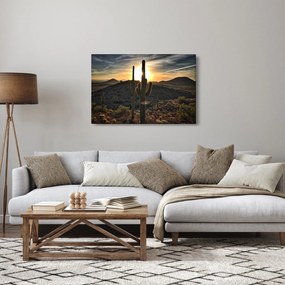 Kép - kaktuszok a napon (90x60 cm)
