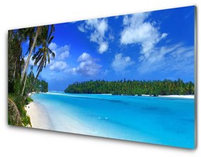 Üvegkép Palm Beach Sea 125x50 cm
