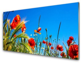 Üvegkép Pipacsok Grass Field 120x60cm 2 fogas