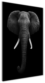 Üvegkép Afrikai elefánt osv-49228540