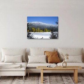 Kép - havas hegyek télen (70x50 cm)