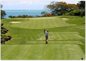 Poszterek 100x70 Golfozó a mezőn