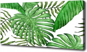 Vászonkép Trópusi levelek 100x70 cm