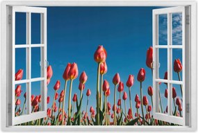 Poszterek 60x40 Tulipánok Tájkép Tulipánok