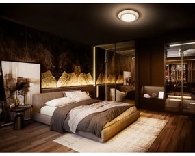 Ledvance - LED Mennyezeti lámpa ORBIS SPIRAL LED/38W/230V