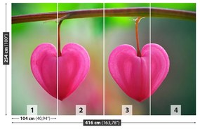 Fotótapéta virág szív 104x70 cm