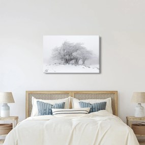 Kép - fehér tél (90x60 cm)