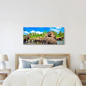 Kép - Elefántok, Sri Lanka (120x50 cm)