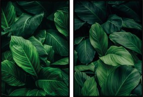2 Botanikus poszter 50x70cm zöld levelek növény poszter fali szett