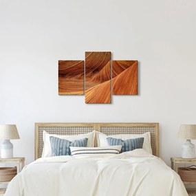 Kép - Vörös homok (90x60 cm)