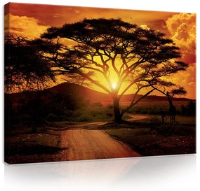 Vászonkép, Szavannai naplemente 80x60 cm méretben