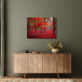 Kép - vörös erdő (üvegen) (70x50 cm)