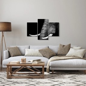 Kép - Elefánt agyar (90x60 cm)
