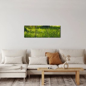 Tájkép - rét (órával) (90x30 cm)