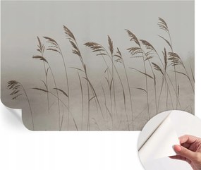 Design fali fotótapéta Öntapadós Fű a köd között 104x70 cm
