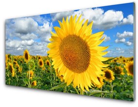 Üvegfotó Napraforgó virág növény 100x50 cm