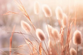 Poszter 30x20cm Napvirágok