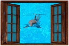 Poszterek 90x60 Delfin
