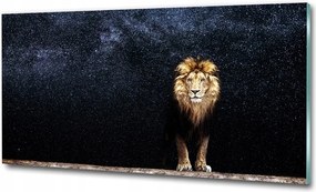 Fotó-üvegkép Oroszlán a csillagok hátterében 100x70