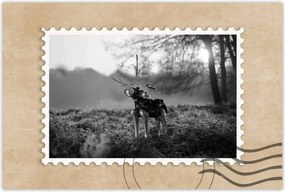 Poszterek 120x80 Szarvas Modern művészet