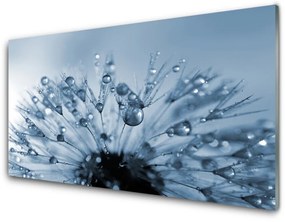 Modern üvegkép Gyermekláncfű virág Csepp 100x50 cm