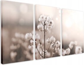 Elegáns hálószoba kép Bézs fali dekoráció Pamut virágok 60x120