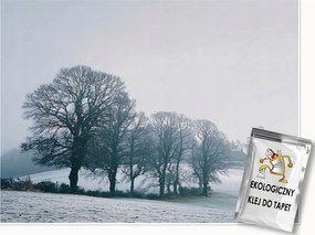 Fotótapéta Fák Köd Táj Hálószoba Nappali Tapéta Flizelina 400x280