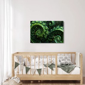 Kép - Spirálok (90x60 cm)