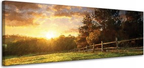 Vászonkép Nap Tájkép Falusi fák Rét 120x40 cm