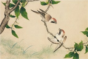 Dekoratív Fotótapéta Hálószobába Klasszikus duó 104x70 Ragasztó