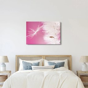 Kép - Makró virága (90x60 cm)