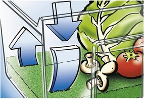 Flatie zöldség-gyümölcs frissességét megőrző alátét - Wenko