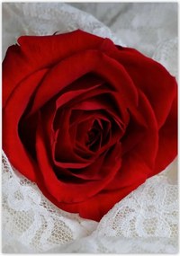 Poszterek 70x100 Kedves ajándék a kedvesedtől