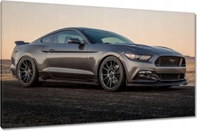 Képek 120x70 Ford Mustang made in Usa