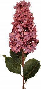 Hortenzia nagy ág málna lila