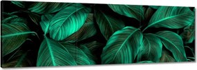 Vászonkép 120x40 Gyönyörű türkiz levelek