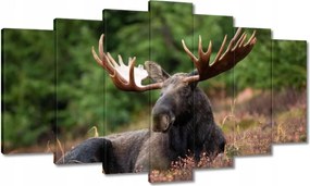 Festmények 140x80 Szarvas a csarnokban