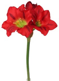 Mű amarilisz, piros, 52 cm