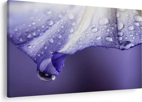 Kép - Szirom cseppekkel (90x60 cm)