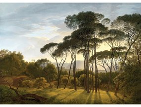 Fototapéta XXL Old Forest 360 x 254 cm, 4 részből