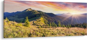 Kép - Erdei táj (120x50 cm)