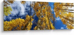 Kép - Aspen (órával) (90x30 cm)