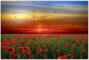 Poszterek 120x80 Tájkép Látvány