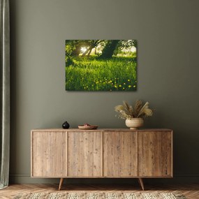 Tájkép - rét (70x50 cm)