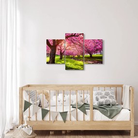 A virágzó cseresznye képe, Hurd Park, Dover, New Jersey (90x60 cm)