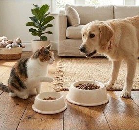 Agyagkerámia tálka kisállatoknak ø 16 cm – Casafina