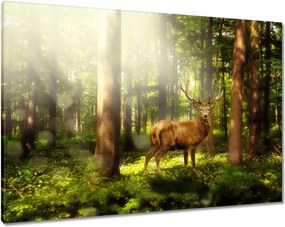 Vászonkép 100x70 Szarvas a varázslatos erdőben