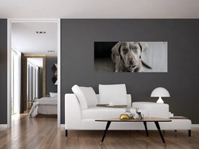Kiskutya képe (120x50 cm)